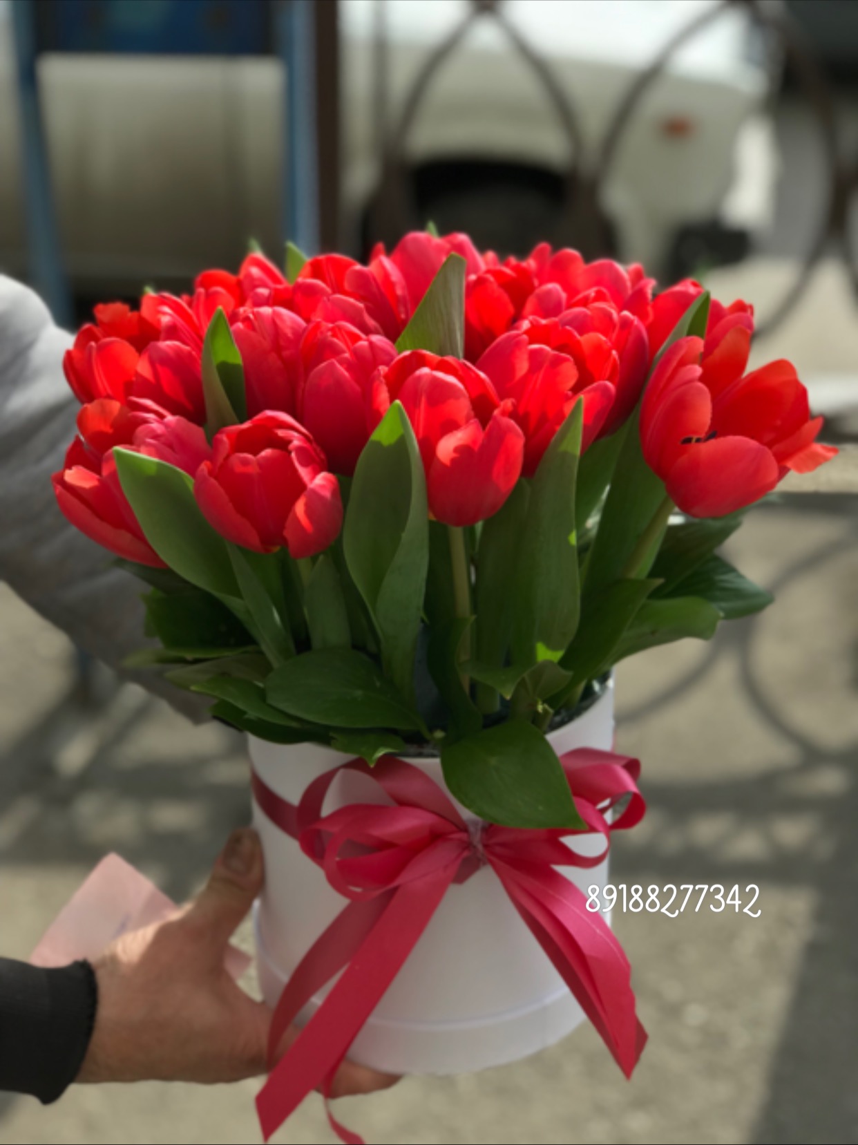 Первый день Весны